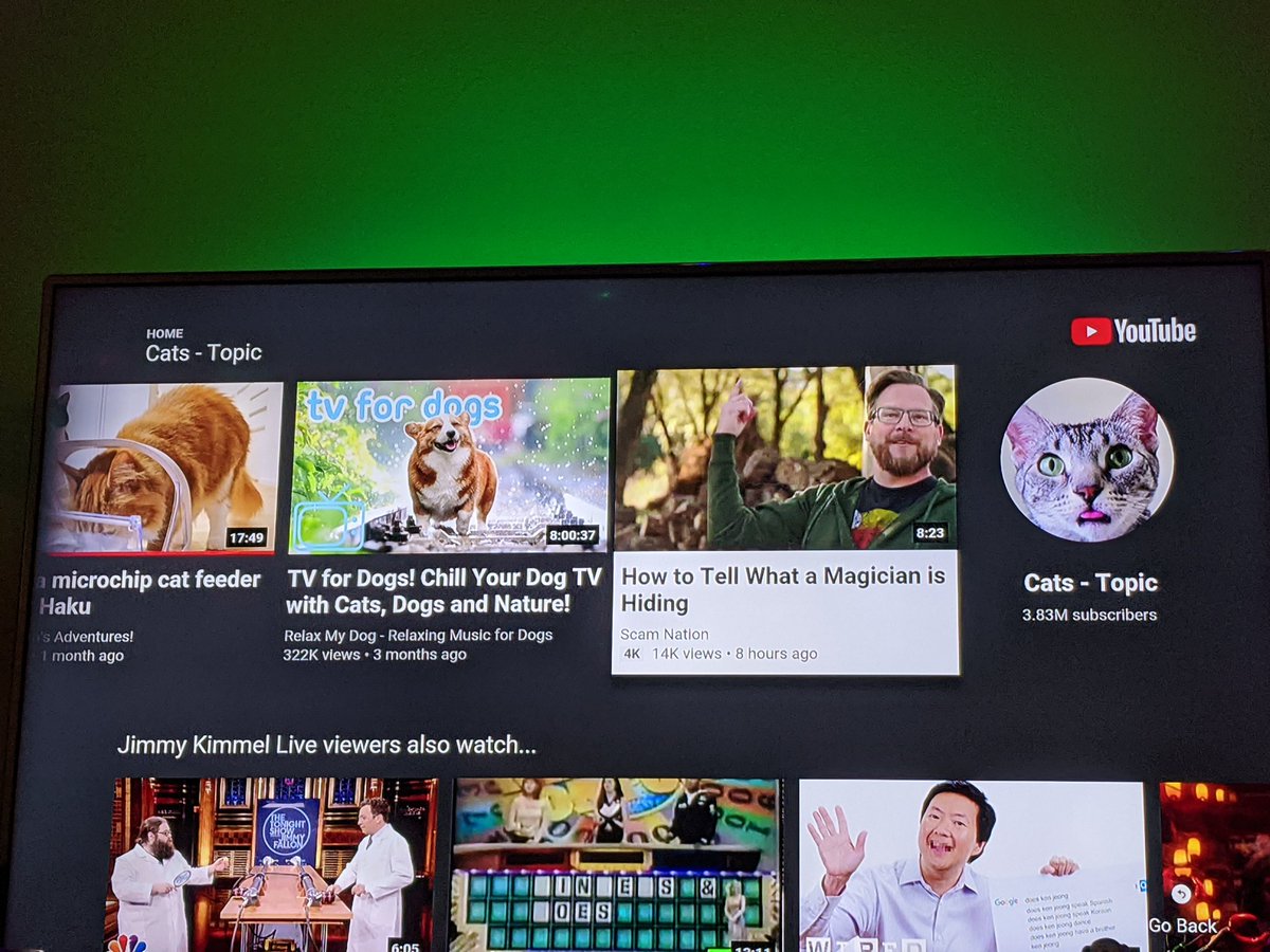 tjbenator's tweet image. If you are looking for #ScamNation, look under the "Cats" topic on YouTube. @shwood