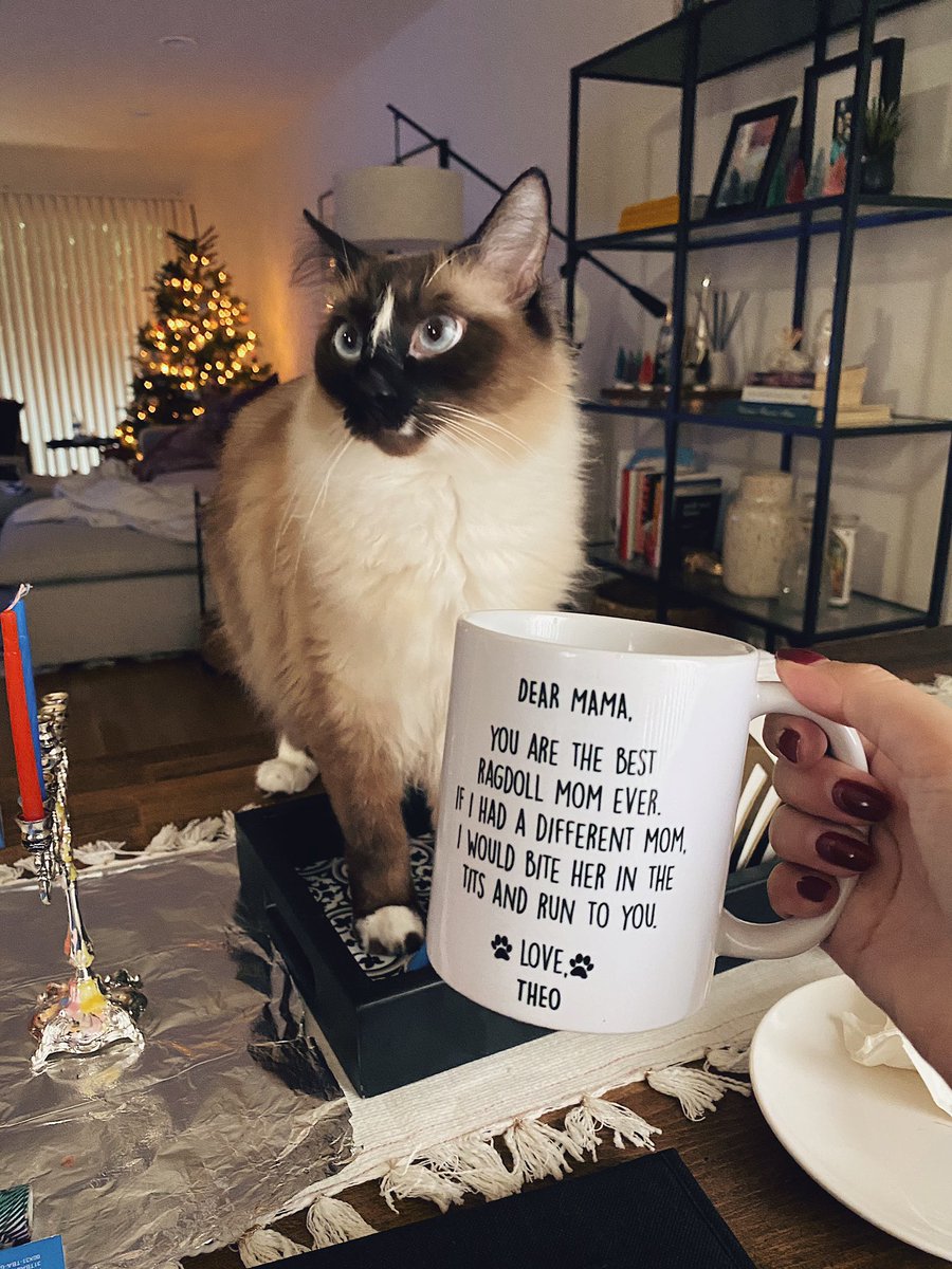 Merry Christmas! Love, Theo.