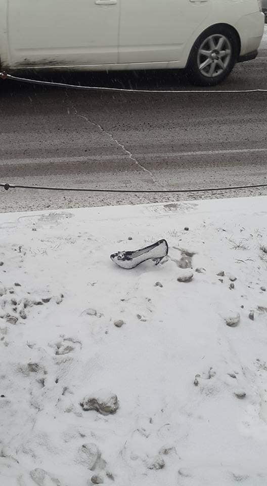 Шинэ жилийн цэнгүүнийн үнсгэлжингийн шахай гэнээ 😂