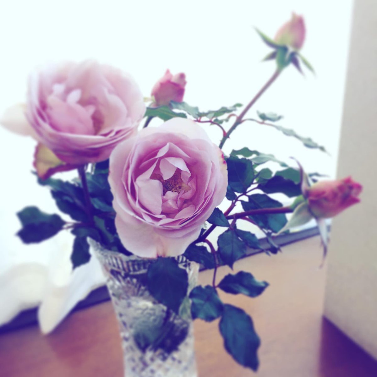 joypoodle's tweet photo. ザ・ホワイトマジック南青山店頭は本日は休業しております。年内は明日12/28が最後の営業日となり、ご注文商品の発送も以後は年明けとなります。
年始の営業は1/4からです。
ご確認のほど宜しくお願いいたします。

#ザホワイトマジック #天然石 #レアストーンジュエリー #表参道 #南青山 https://t.co/9wFUdVSC5A