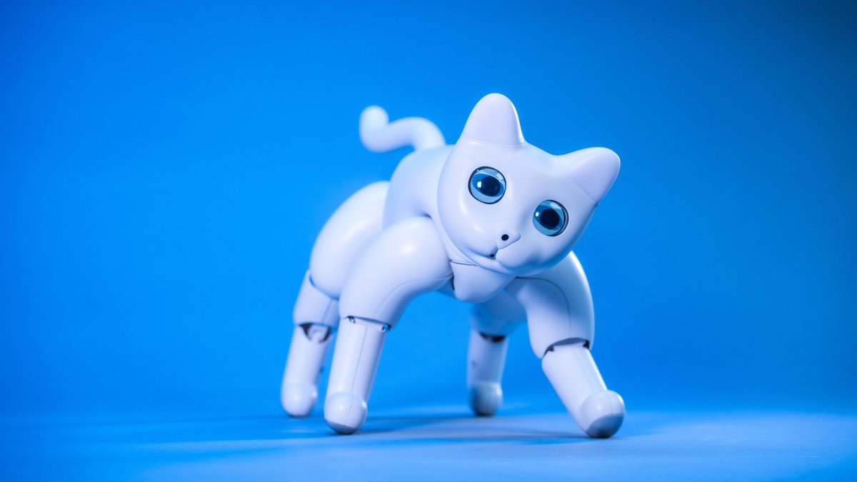 There’s a robot cat you can back on Kickstarter