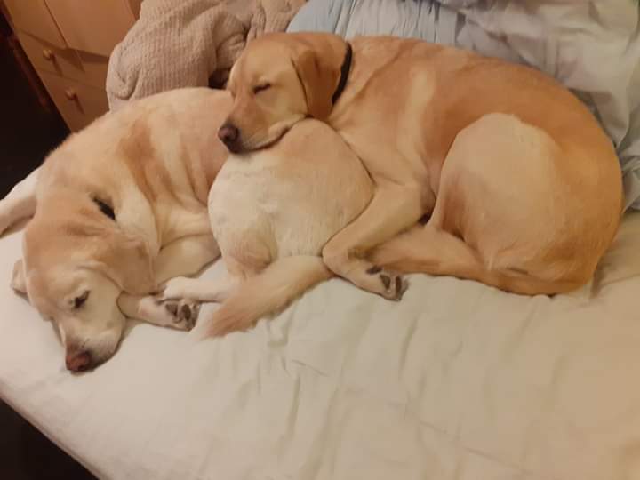 andycorky's tweet photo. After a busy couple of days being spoilt wrotton.   Times caution up xxx https://t.co/YpV1j5d0wQ