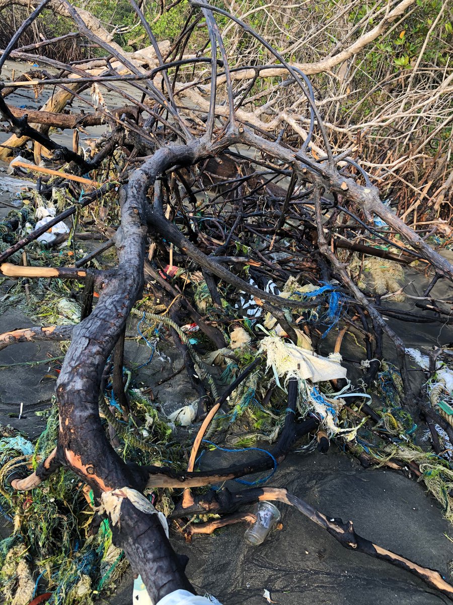 AriBayuaji's tweet photo. @calltoearth I have been collecting abandoned plastic ropes on the beaches for my artwork material! https://t.co/Kp0i37zdcM