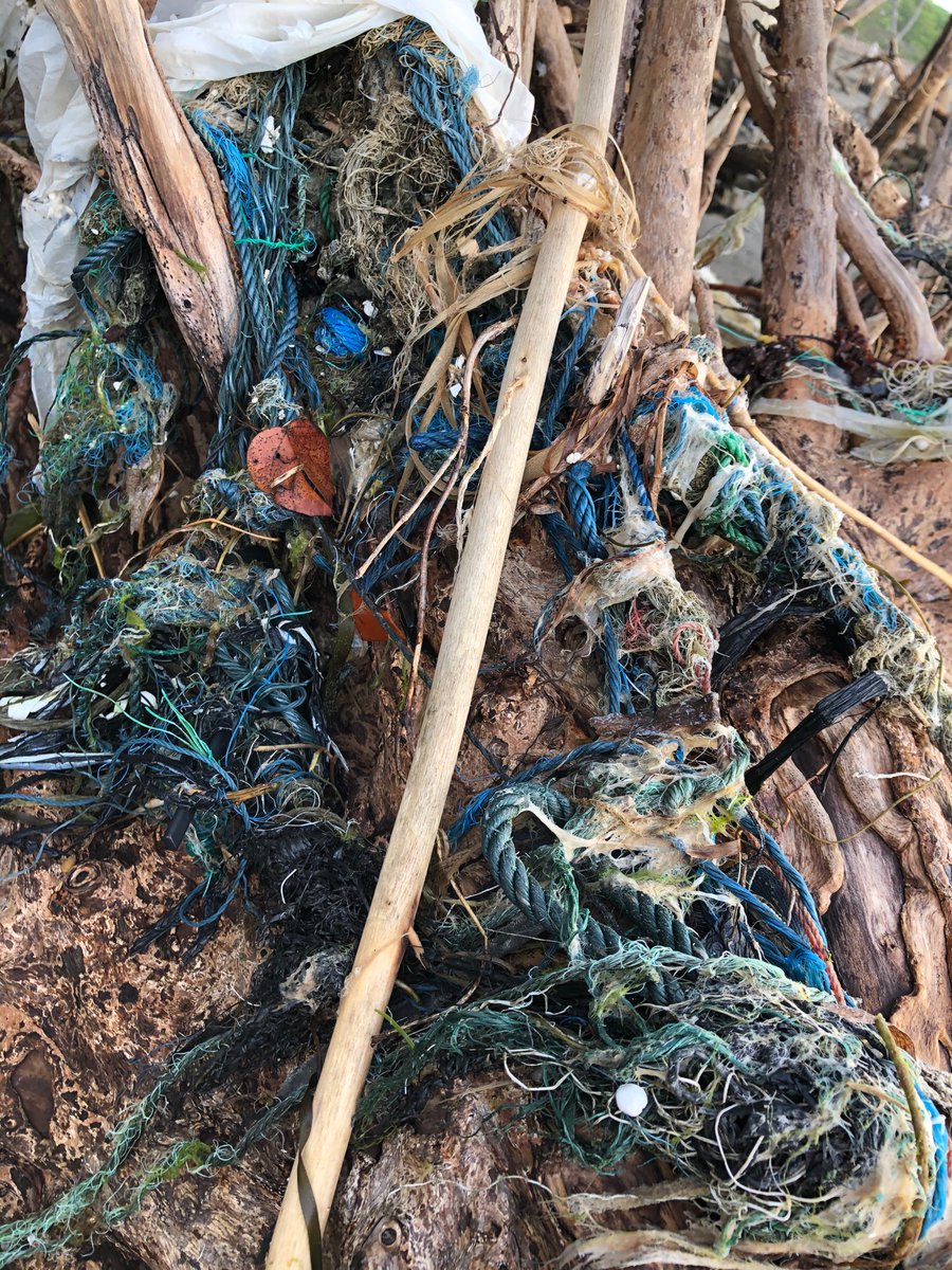 AriBayuaji's tweet photo. @calltoearth I have been collecting abandoned plastic ropes on the beaches for my artwork material! https://t.co/Kp0i37zdcM