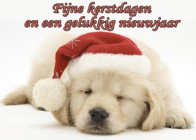 abdlcornernl's tweet photo. https://t.co/1opLyymL1t