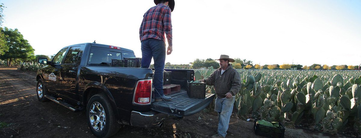 CentralMeCJDR's tweet photo. When the job demands absolute muscle and precision, accept no substitutes. If you've got a Ram work truck by your side, nothing is impossible. https://t.co/ChxVVB9aLh