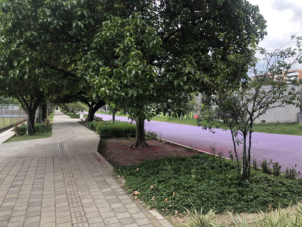 dany_matu's tweet photo. Antes de terminar la gestión en @ConcejoMedellin debía hacer un recorrido por #DistritoD, un proyecto que impulsamos e ideamos y que @INDERMEDELLIN y @urbam_EAFIT materializaron. Este es uno de los proyectos del 💜 y espero que continúe en la próxima administración. https://t.co/BSoYEm6JYh