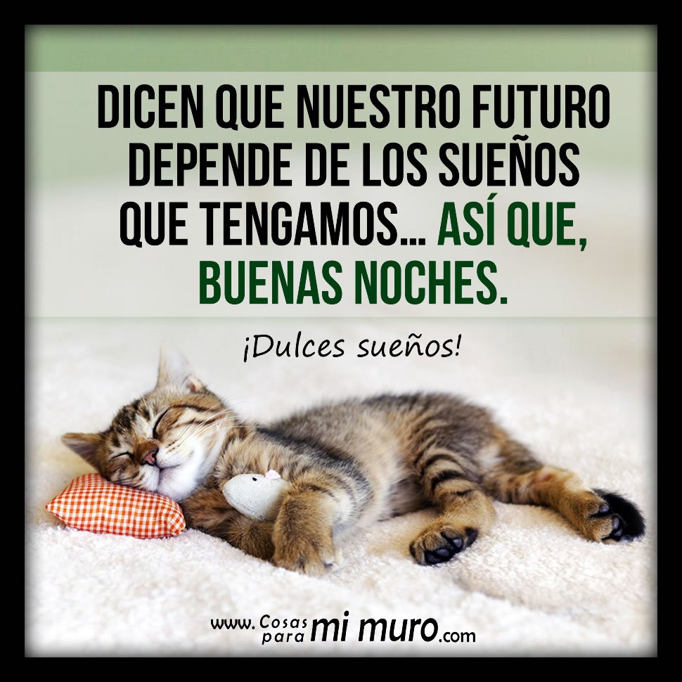 ALICIA BLANCO on Twitter: ALICIA BLANCO on Twitter: