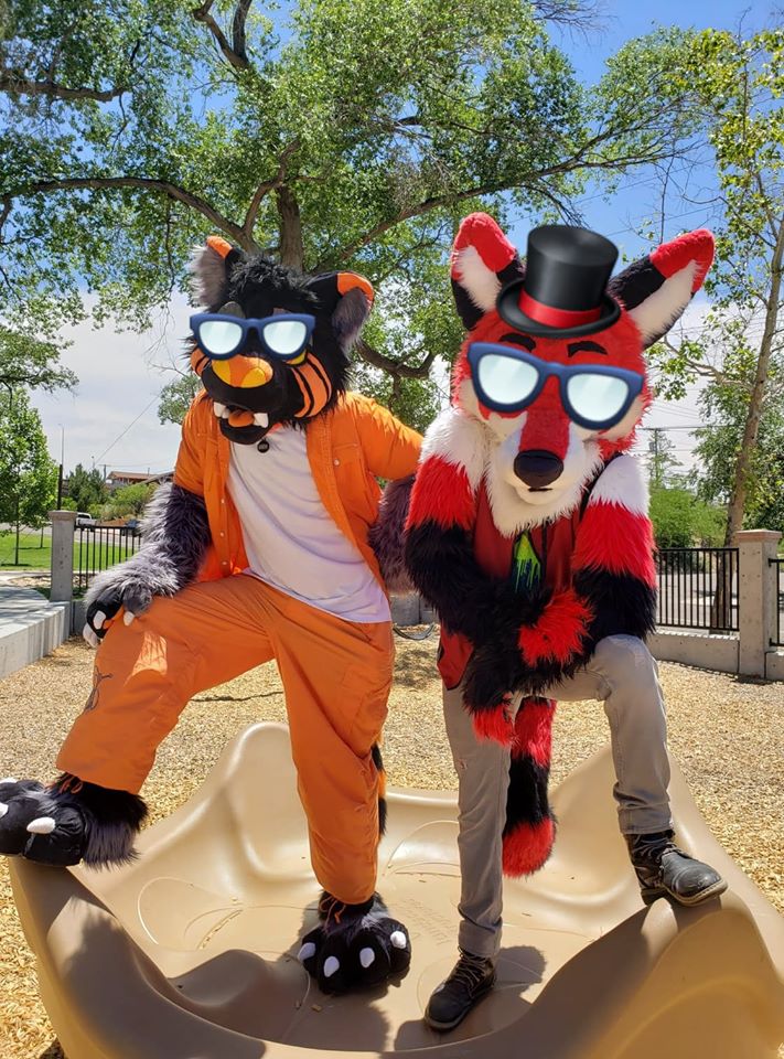 tetris3984's tweet image. when your to cool for school &amp;gt;:D
#furries #tetris #tocool #ThursdayMotivation #thursdayvibes #furryandproud