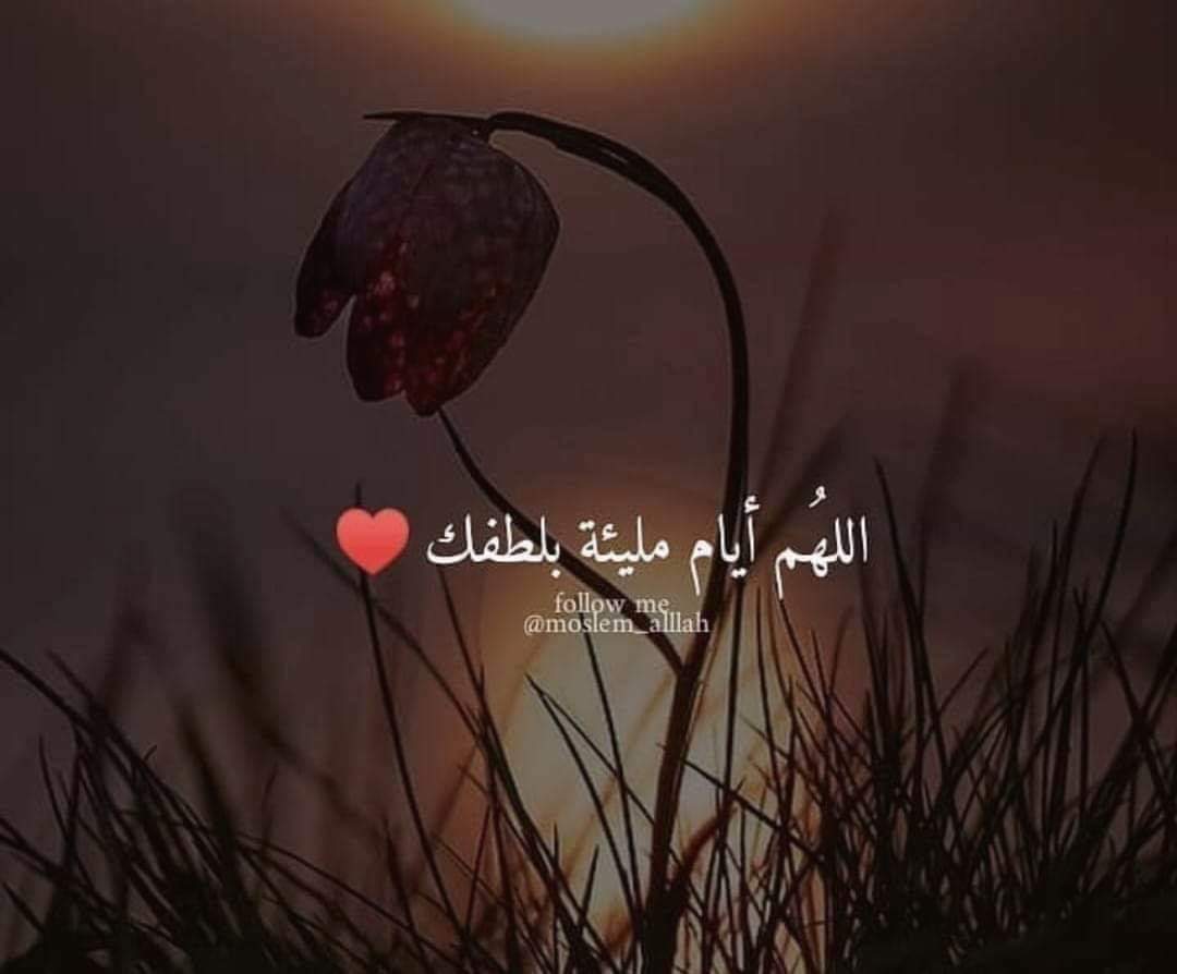 وفي ليلة #الجمعة الأخيرة من عام 
اللهُم اجبر خاطري جبراً أنت وليه، فإنه لا يُعجزك شيئاً، في الأرض ولا في السماء  وإني أسألك يارب أن تستقيم حياتي  وأن لا أضيع في زحام الطريق ، وأن لا أخير بين أحب أشيائي ، ربي أسعدني وأشرح صدري وأرح قلبي، اللهُم إني أستودعك راحتي فاجعلني أسعّد خلقك