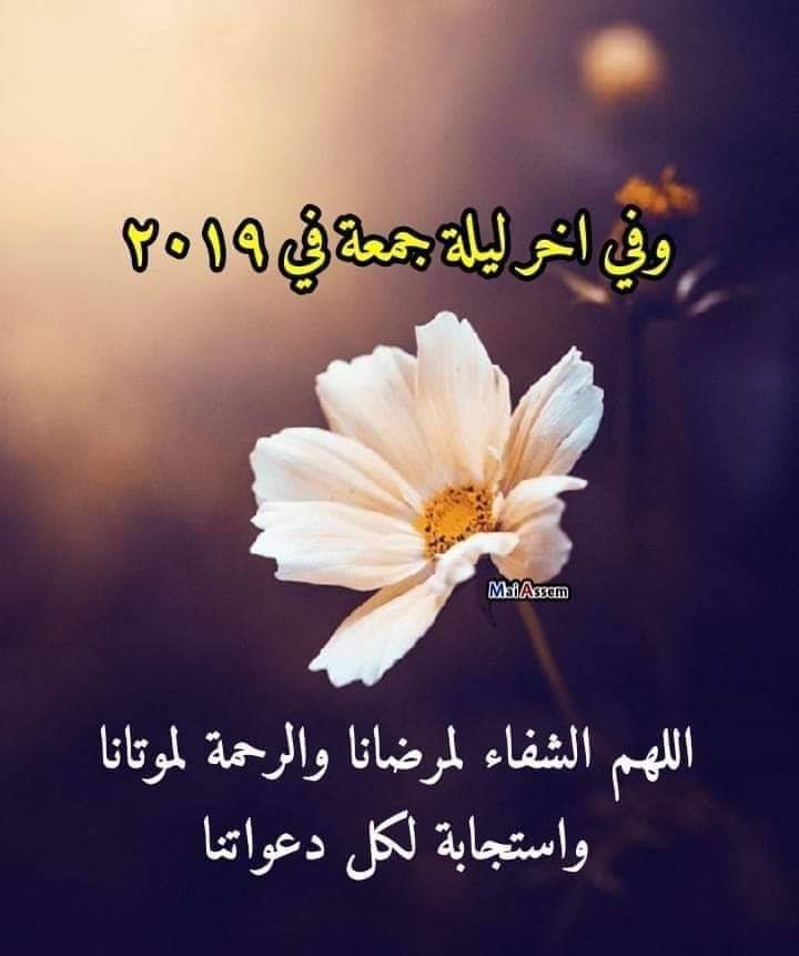vz_323's tweet photo. جمعة مباركة🥀🍃🌼
على الجميع المسلمين 🥀🍃🌼 https://t.co/F5mt2HKwiC