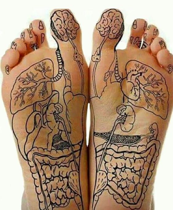 CDegraft_J's tweet photo. How To Do Reflexology Treating Common Ailments At Home #reflexology #healthcare #holistic #HealthyLiving 
https://t.co/xMhznq4RTt https://t.co/beIqZKscsu