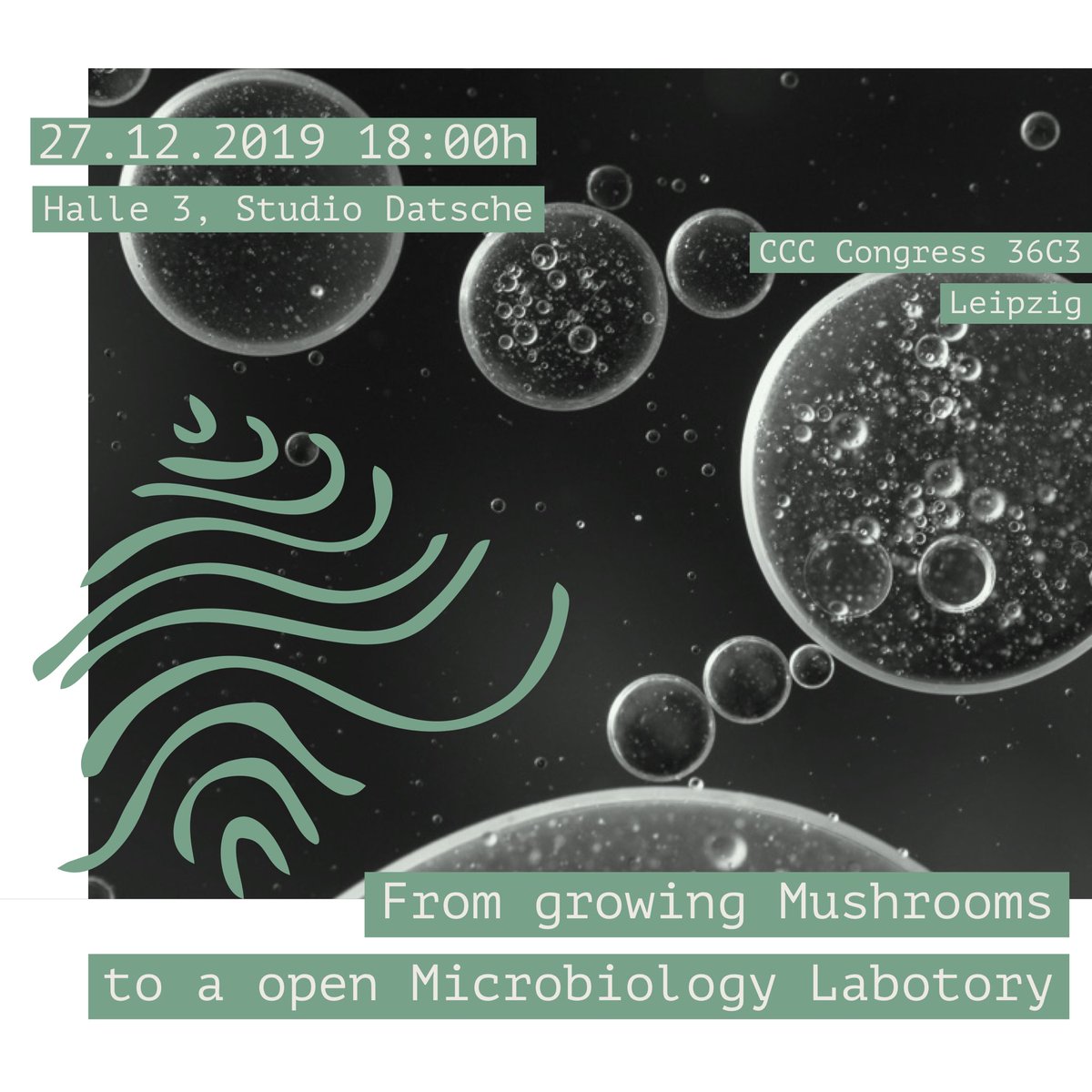 From growing Mushrooms to a open Microbiology Laboratory. 
A talk at #ccc #36c3 halle 3 #StudioDatsche 27.12. 18:00h
events.ccc.de/congress/2019/…
#diybio #mycology #microbiology #radicalmycology #mushrooms #mycelium #woodwideweb #mykologie #mikrobiologie #communitylab