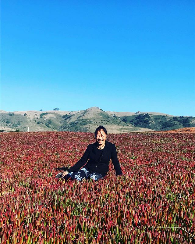 laarnigedo's tweet photo. Norma, the ice plant queen. https://t.co/kgMgOzn7A5