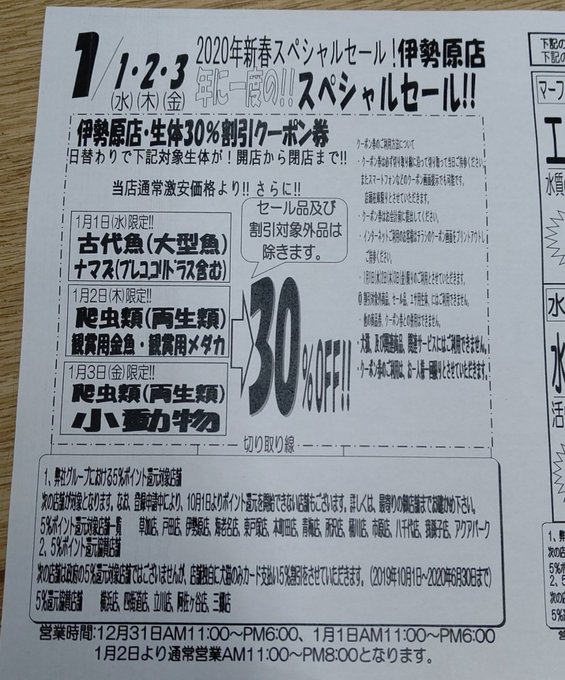 Popular Tweets Of かねだい伊勢原店 総合編 犬 猫 小動物入荷速報 Sale告知など 2 Whotwi Graphical Twitter Analysis