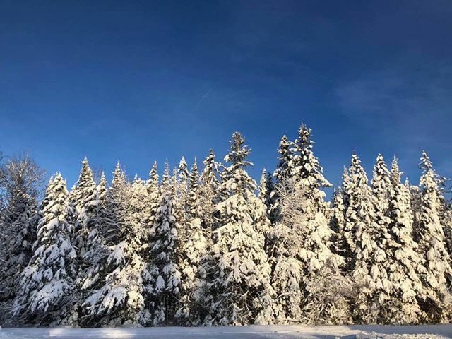 MiStateParks's tweet photo. 🎶 Walking in a winter wonderland 🎶😍❄️
.
.
.
.
.
#MiStateParks100 #StateParks #Michigan #MakingMemoriesInMichigan #FindYourWild #Parks #MiDNR #OptOutside #ComeOutAndPlay #GreatLakesState #PureMichigan https://t.co/TlWjrYXyOB https://t.co/WesIretWZ4