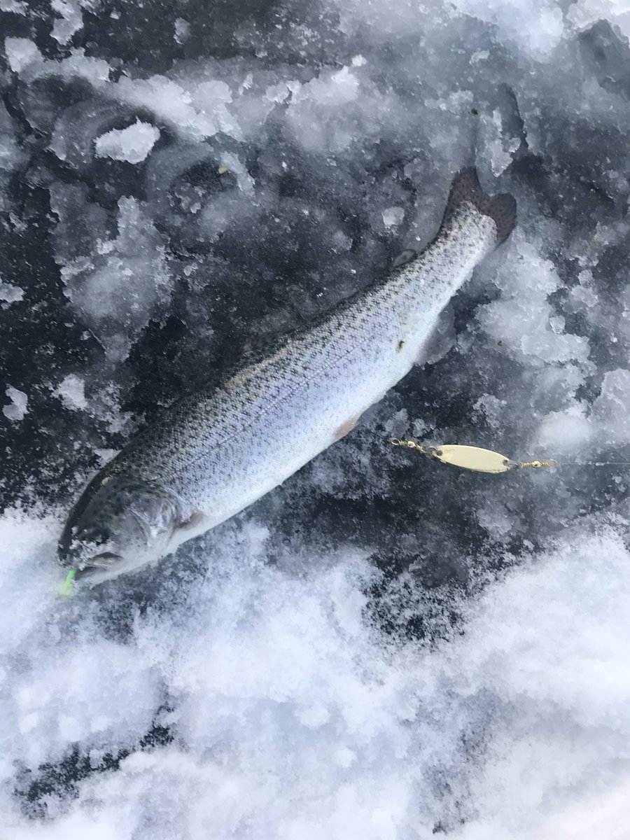 MtnWestIceFish's tweet photo. Spent the Holiday Break Ice Fishing in Southern Utah. Got humbled early but finished strong.
#underarmour #yeti #sportsmanswarehouse #mtndew #icefishing
#uglystik #jawjacker #procurebaitscents #maniaclures #marcumshowdown #bft #jetsled #ratfinkee #clam #icefishingnation
#435 https://t.co/zs3mszCiyi