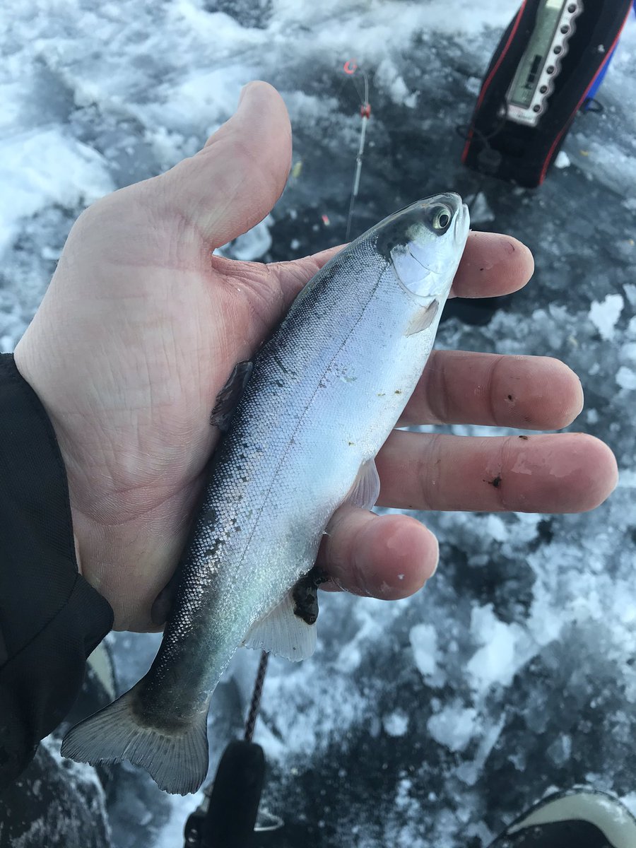 MtnWestIceFish's tweet photo. Spent the Holiday Break Ice Fishing in Southern Utah. Got humbled early but finished strong.
#underarmour #yeti #sportsmanswarehouse #mtndew #icefishing
#uglystik #jawjacker #procurebaitscents #maniaclures #marcumshowdown #bft #jetsled #ratfinkee #clam #icefishingnation
#435 https://t.co/zs3mszCiyi
