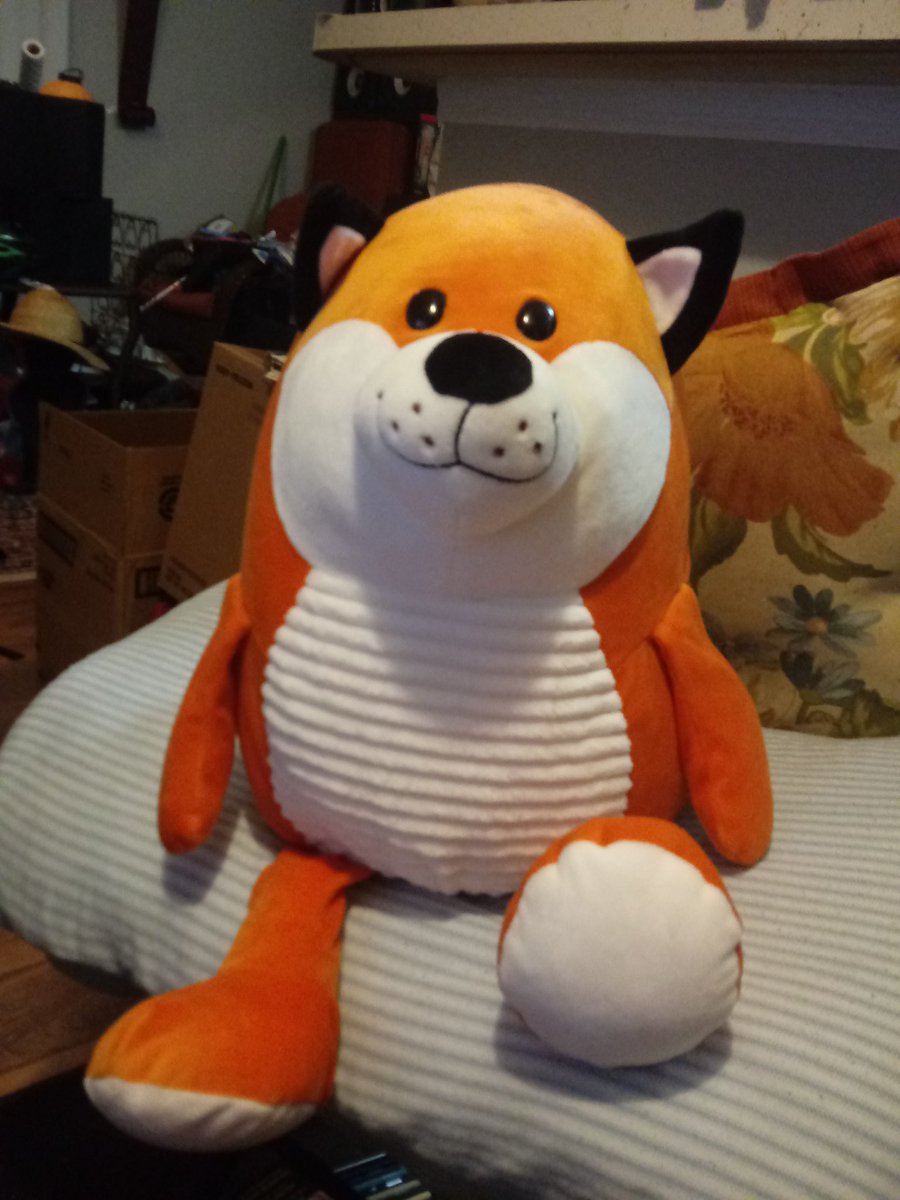 EvanelleOnyx's tweet photo. His name is Kรฉkรฉ
After @Kekeflipnote
Because I saw him in the store and he immediately made me think of Kรฉkรฉ's animations and made me smile. ๐
#roundfox #needsbaguette https://t.co/I4Ptg7EKQe