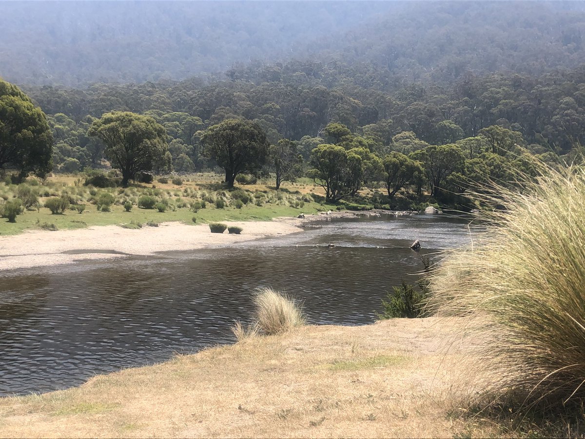 Gorgeous Thredbo River scenes. Water temperature largely unaffected by small stubborn snow patch. Back on the  #AAWT trail tomorrow