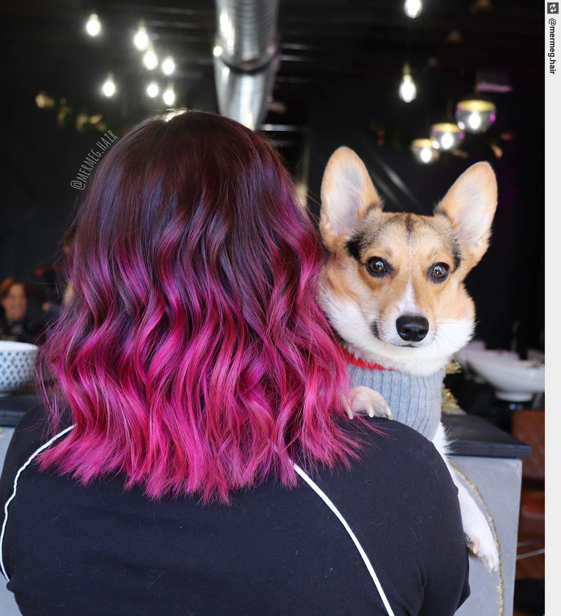 betrendsetters's tweet photo. #pulpriot #pulpriothair #faction8 https://t.co/fxxStJXwGP #pinkhaircolor #hairinspo #pinkhair https://t.co/RBWTyjtbLd