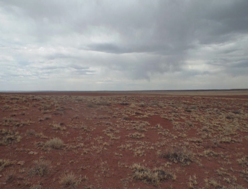 My new weird hobby is searching on Zillow for the cheapest land I can find per acre. (Not for any purpose.)My current winner is $275/acre in Arizona. $36 annual property tax on this 20 acre parcel! Can you beat it? https://www.zillow.com/homedetails/Tbd-Parcel-208-12-004-Adamana-AZ-86028/2089095908_zpid/