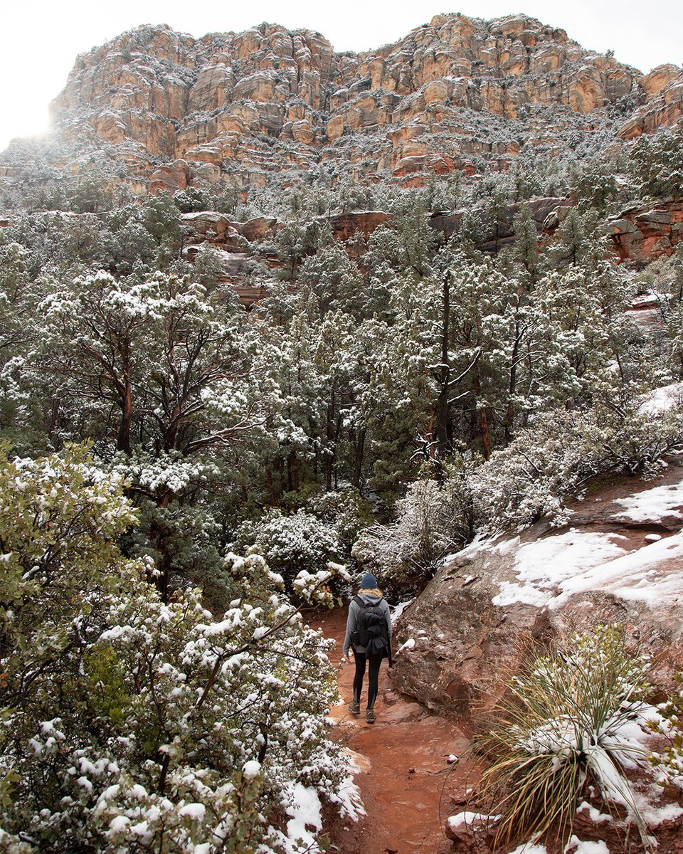 Eclipse Beverage tweet media