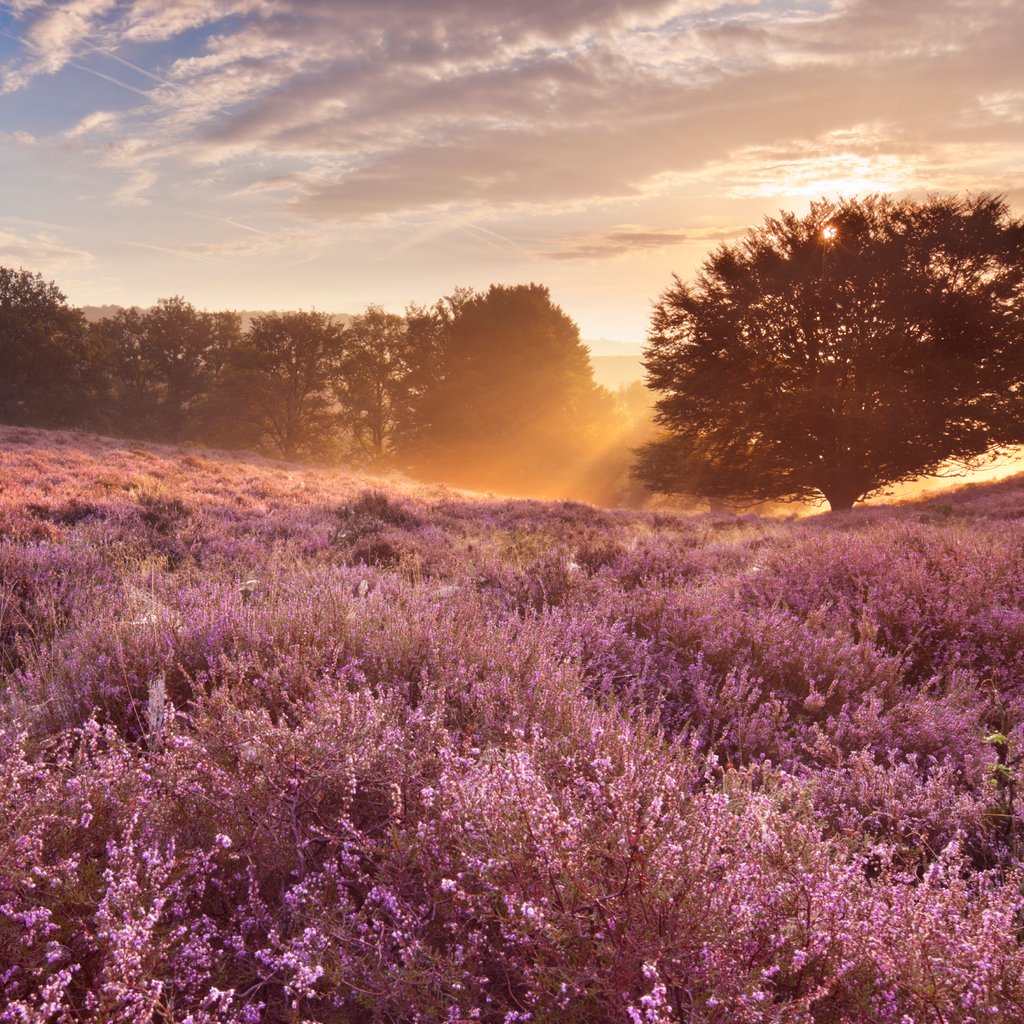 Arbeidsrecht kent minimaal 40 verschillende wetten en regels. Een manier om als ondernemer op de hoogte te blijven van de laatste veranderingen in de wet- en regelgeving, is het inhuren van een extern bureau. Arboadviescentrum staat je graag bij! buff.ly/2ZKwHo6 #AAC
