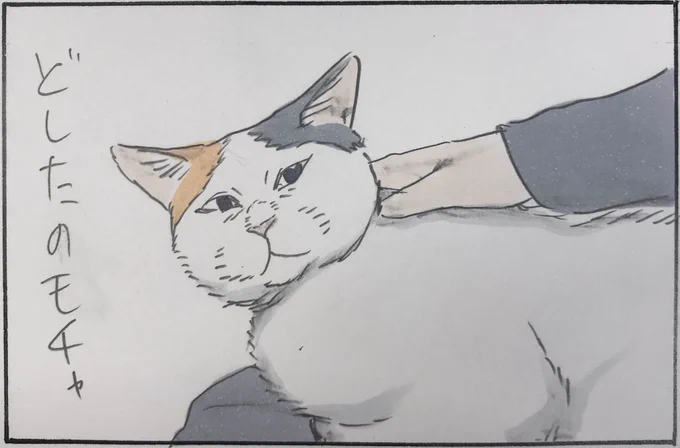 『感じ取る』 