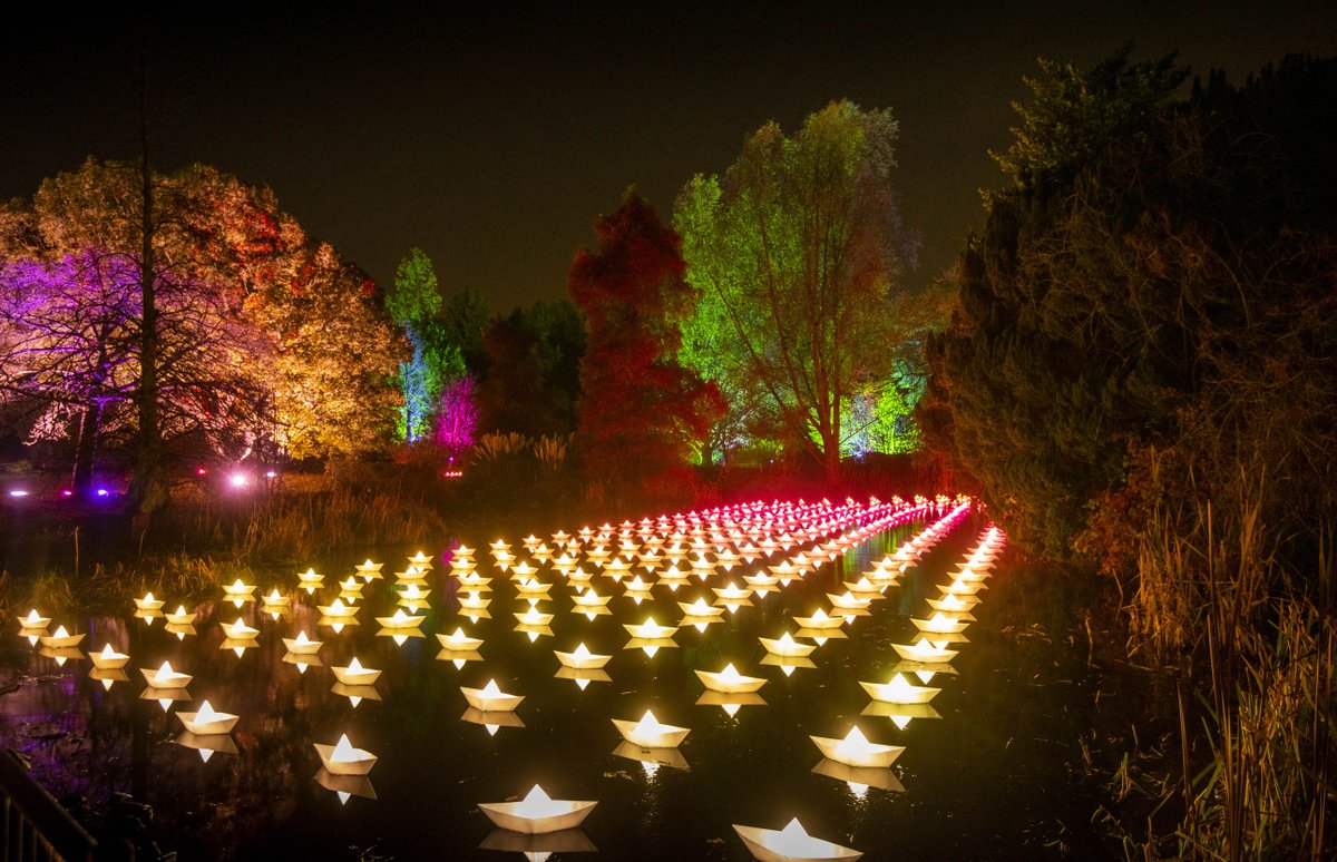 TheBotanics's tweet photo. There’s only three more nights to enjoy our magical, illuminated trail #ChristmasAtTheBotanics. Ends Sunday 29 December.

https://t.co/pbKTYIvJSr https://t.co/mouQquwRL7