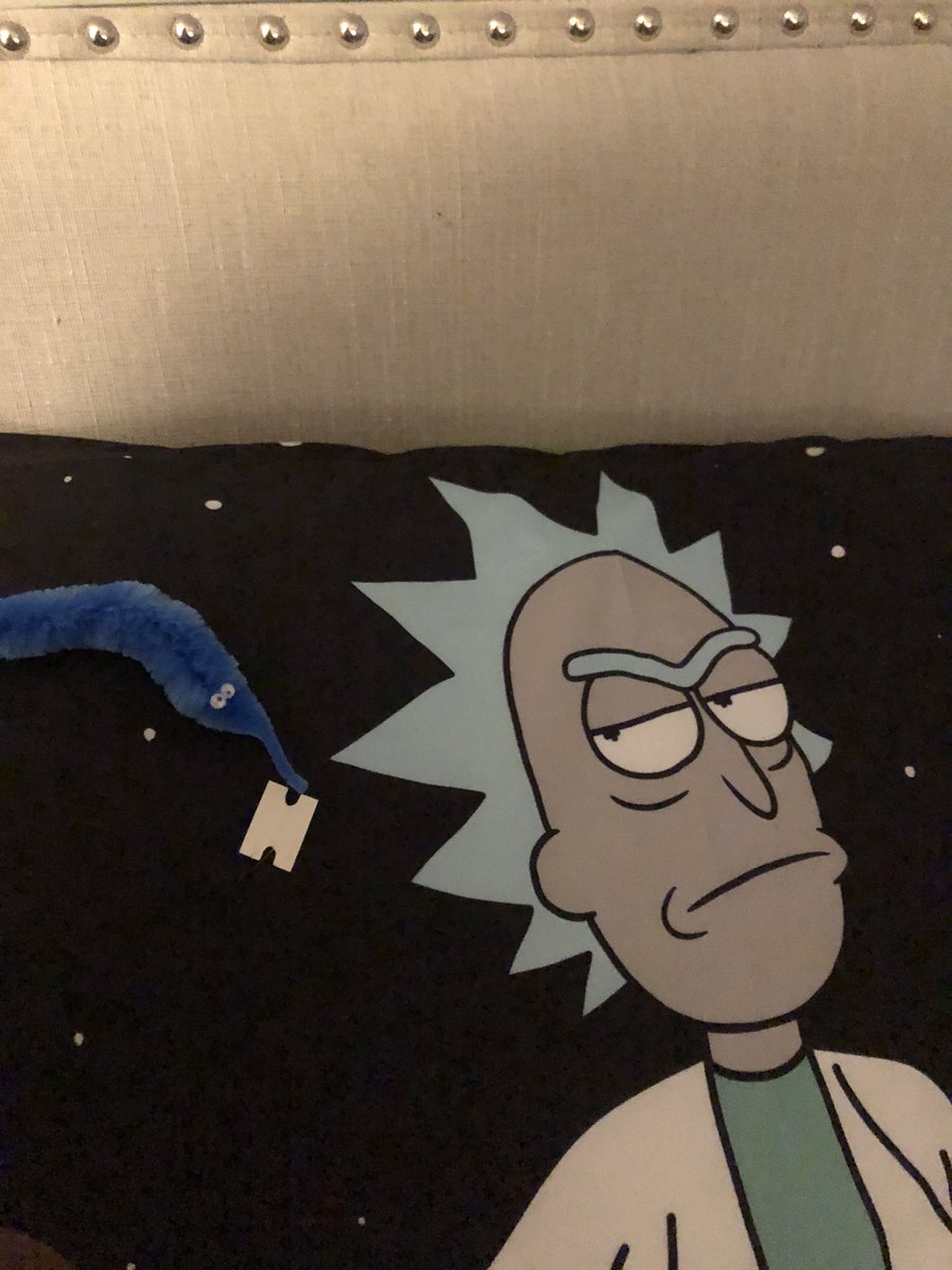 rick and worm