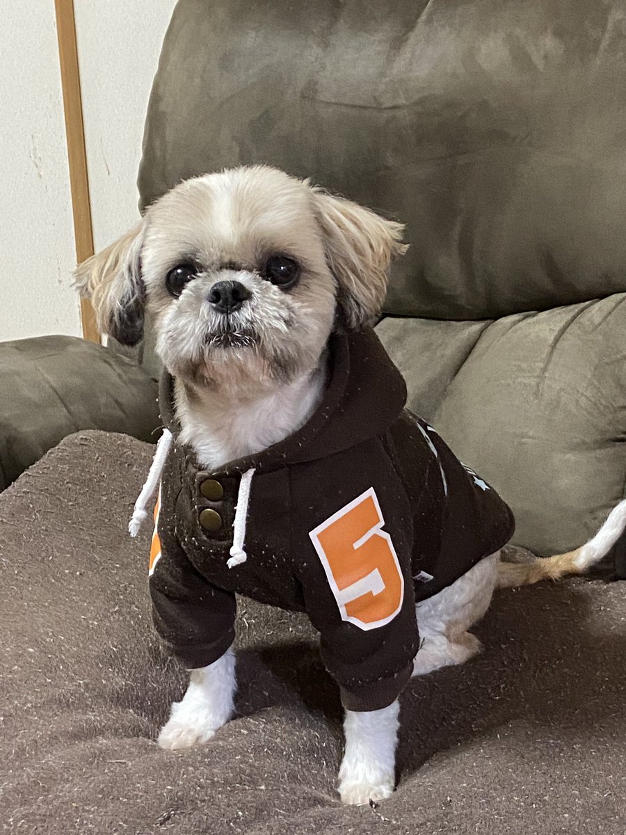 ひろたろう TARO HORIUCHI / th products Damaged College Sweatshirt