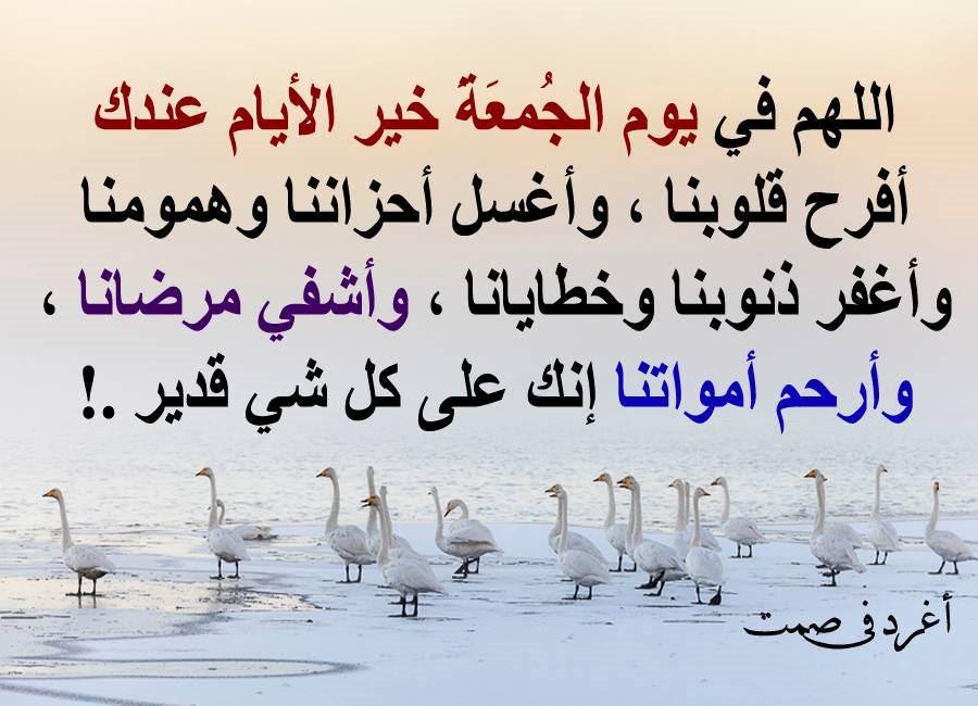 البصراويه (@bsjimk1lcpw0lny) on Twitter photo 