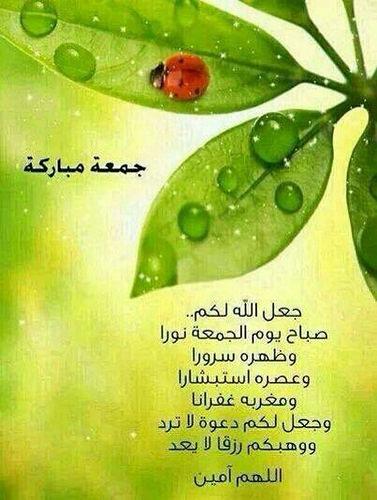 البصراويه (@bsjimk1lcpw0lny) on Twitter photo 