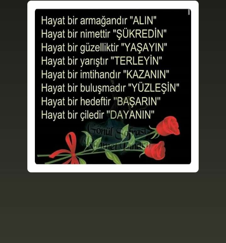 Ramazan Kara (@rmznkr03) on Twitter photo 