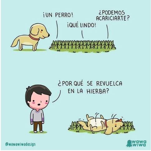 MiTestDe's tweet photo. Ahora se explica todo...😅🐶😍
¡Feliz Viernes!
#Friday #Finde https://t.co/zzutP5h18y