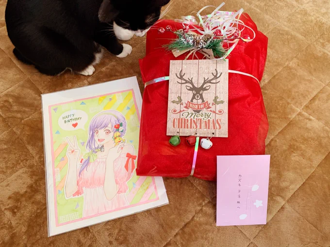 再びサンタさんが〜〜??✨✨
(海外のフォロワーさんからお届けいただきました。ありがとうございます!) 