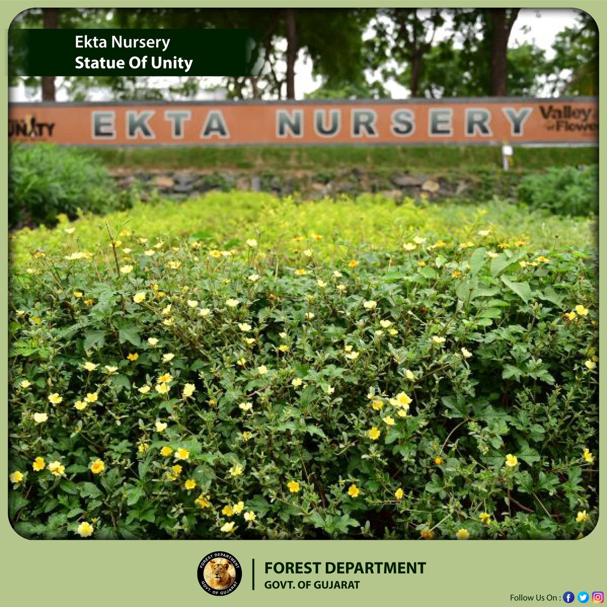 #EktaNursery will focus on various traditional Eco-friendly products with a live demonstration of their production process& is in line with the Hon’ble Prime Minister’s vision that visitors,when they return,should take back with them seedlings as a Plant of Unity.

#GujForestDept