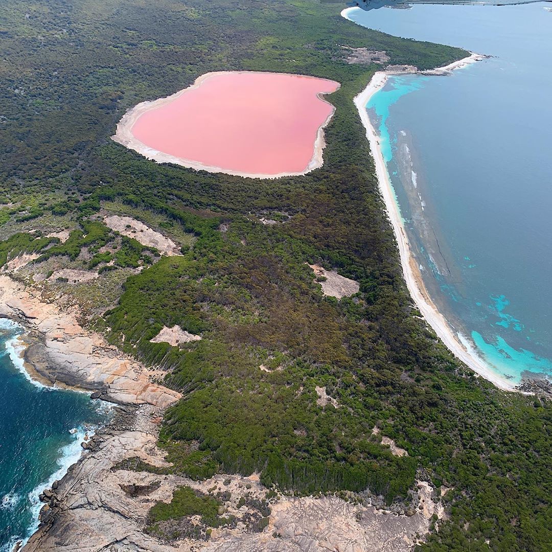 Western Australia On Twitter Just Add A Little Pink H2o Lakehillier On Middleisland Is Located Just Off The Coast Of Esperance In The Golden Outback So Just Hop On A Scenic
