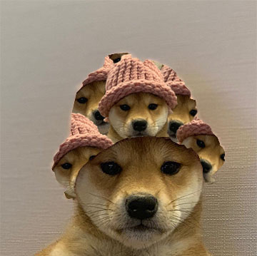 ParkourPenguino's tweet photo. Dog Wif Dog Wif Hat. #dogwifhatgang https://t.co/zaCjjk8h0R