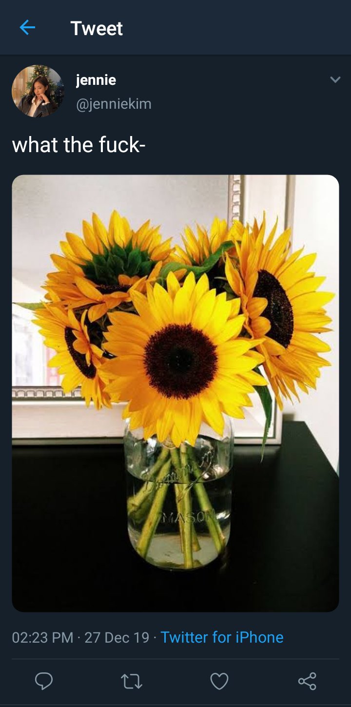 Uno On Twitter 13 Https T Co Sbjjcm2of5 Twitter