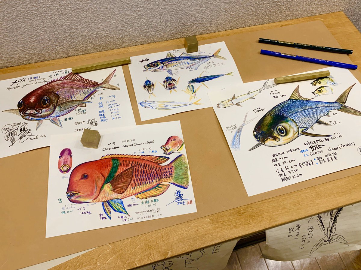 さかなクンと秘密のラボ