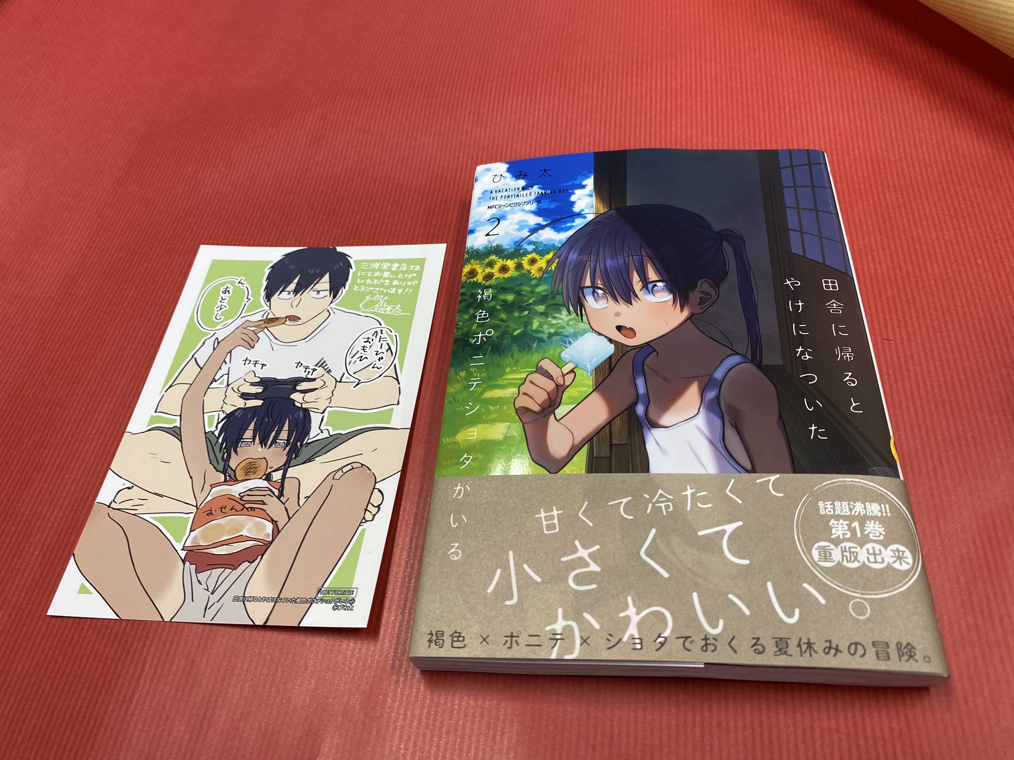 三洋堂書店桑名店 A Twitter おすすめコミック 弊社推しコミック 田舎に帰るとやけになついた褐色ポニテショタがいる Kadokawa びみ太 最新2巻発売中 某雑誌のノスタルジックな表紙みたいで好き 田舎 褐色 ポニーテール ショタ