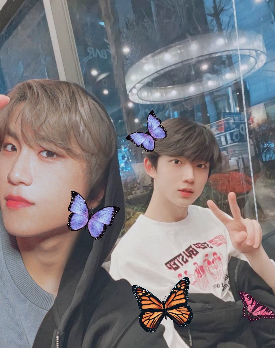 seopffeine's tweet photo. "There's butterflies in my stomach "
How's everyone?
It was a loong time I didn't make any edit, this one might not as good but yeah enjoy it for urself 🐦🐰 #참섭 #chamseop https://t.co/nkTSLiplep