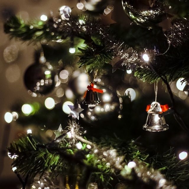 Although the holidays are a time for celebration and fun, it can also come packed with stress. Read more in the link below...
buff.ly/39cFgOl
.
.
.
#cbd #cbdoil #blisswellnesscbd #blisswellnessproducts #cbdproducts #colorado #coloradocbd #health #highqualitycbd #cbdlife