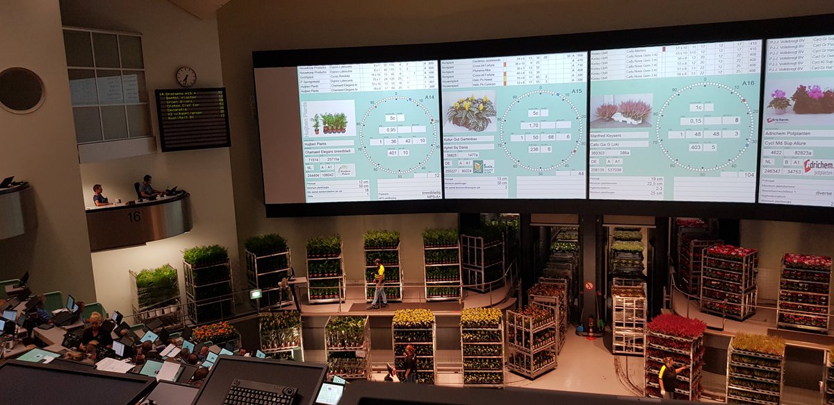 Een onverwachte goede veildag vandaag op de klok in Aalsmeer Planten!!
Prijzen liepen op.
Veel aanvoerders zaten veel te met hun klokvoorverkoopprijzen!!
Enkele producten bleven wel zeer matig in prijs.
<a href="/FloraHolland/">Royal FloraHolland</a>