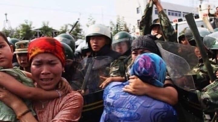 adedab's tweet image. chng.it/bF2sZDbQGJ