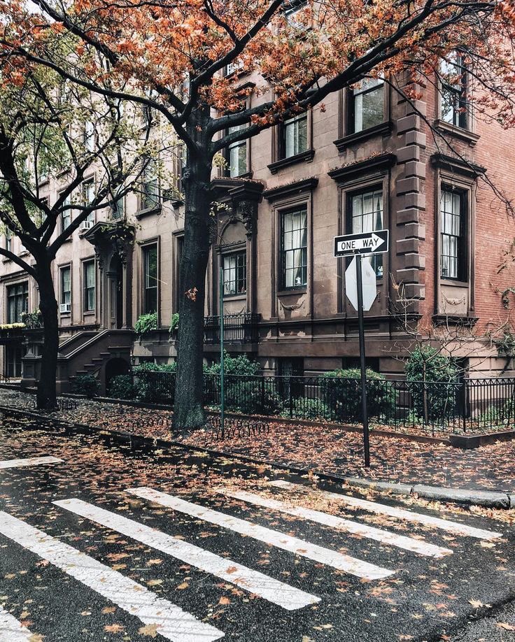 parisianchIoe's tweet photo. new york is a dream https://t.co/gVBg7RIKAH
