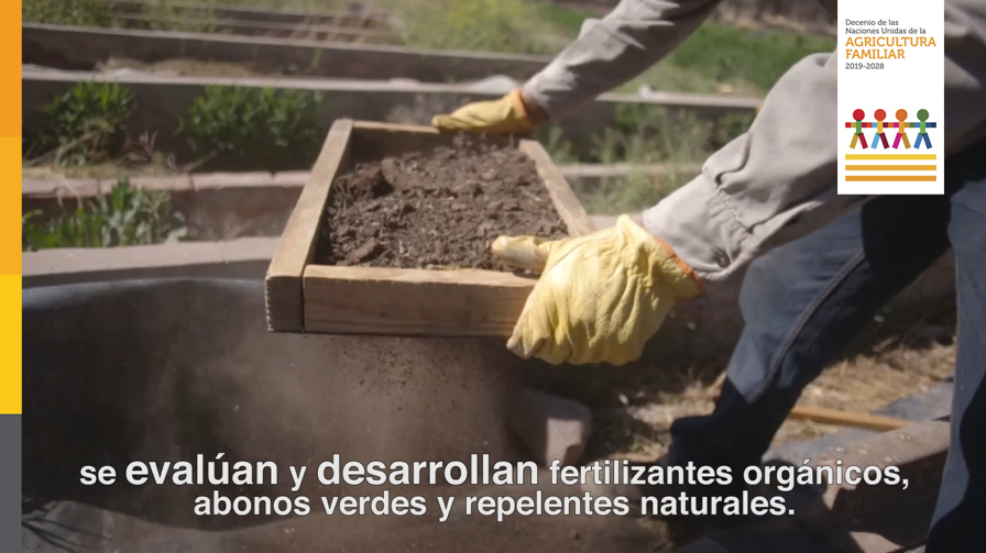 intaargentina's tweet photo. El #IPAFNOA estudia
✔ la conservación de la biodiversidad benéfica, detección e incremento de biocontroladores
✔ se revalorizan especies vegetales, multiplicación de semillas nativas
✔ se evalúan fertilizantes orgánicos abonos y repelentes naturales
#DecenioAgriculturaFamilia https://t.co/4chRUJsbza