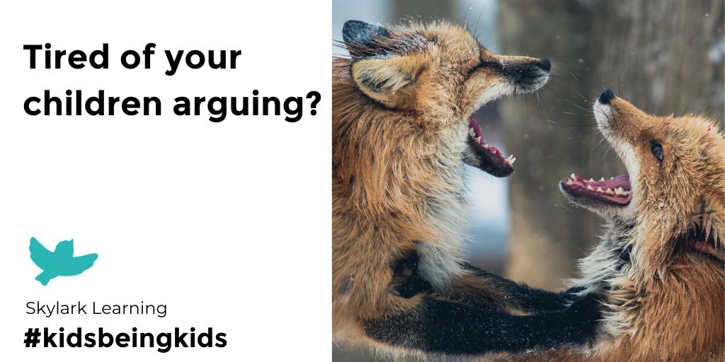 SkylarkLearning's tweet photo. Tired of your children arguing? #MyFirstEmotions will help you to set boundaries, deal with tantrums and foster a positive home environment. #kidsfun #3yearsold #kidsbeingkids #emotions #tantrums #busytoddler #2yearsold #toddlerplay #familylife #familytime https://t.co/Yf6OaBLzbT https://t.co/kivxsSHUNA